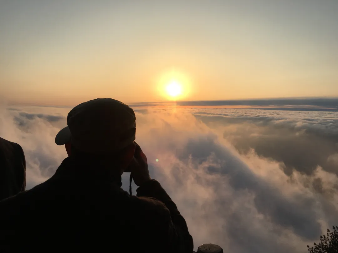 最美人间四月天，来天岳幕阜山纵享春日美好